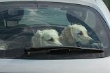 VOITURE - CAR 094